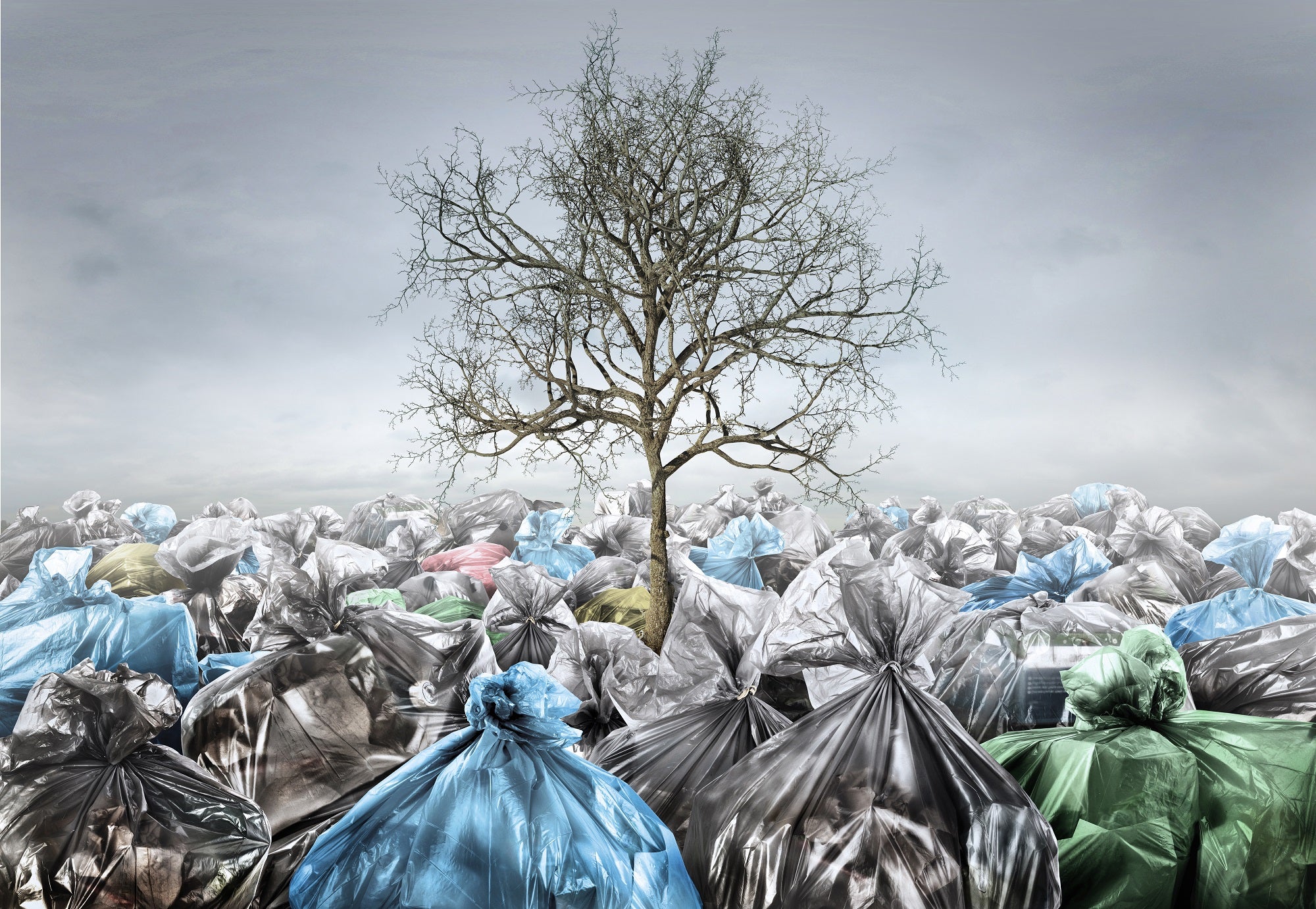 5 Reasons We Said “No More” to Plastic Bags