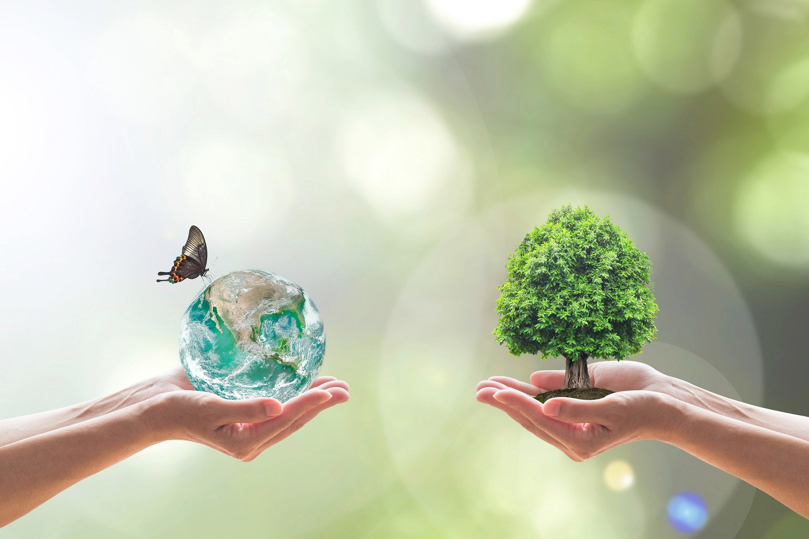 Moving Forward into 2021 with a ‘Sustainability Consciousness’