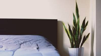 Cleaner Indoor Air Quality Can Help You Sleep Better